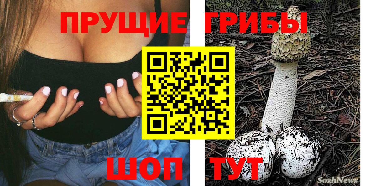Галлюциногенные грибы мицелий  Галлюциногенные грибы Psilocybine cubensis  Гурьевск  Вход с VPN 